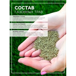Семена Газонная травосмесь Быстрый газон", 1 кг