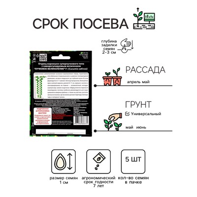 Семена Огурец "Пучковое великолепие" F1 скороспелый, пучковый, партенокарпический, 5 шт