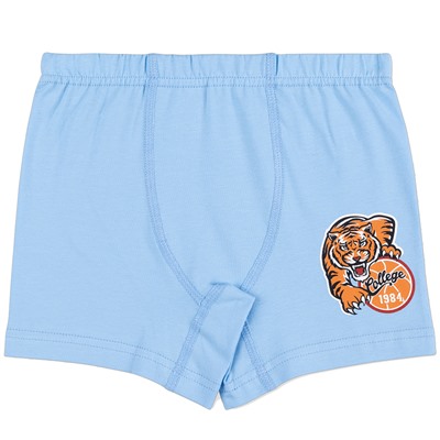 3434 Боксеры для мальчика многоцвет (BAYKAR)