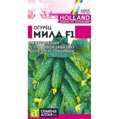 В НАЛИЧИИ. Огурец Мила F1/Сем Алт/цп 5 шт. Seminis (Голландские Семена)