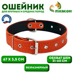 Ошейник кожаный тисненый на фетре, безразмерный, 67 х 3,5 см, ОШ 31-60 см, рыжий