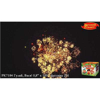 Фейерверк РК7184 Гуляй, Вася (0,8" х 100)