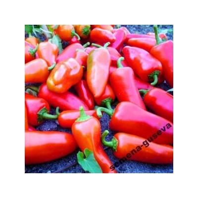 Сладкие Мини-перчики Три Цвета — Sweet Mini Peppers Three Colors (10семян)