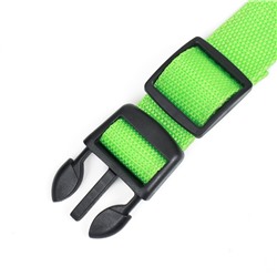 Ошейник с подсветкой, зарядка от USB, размер M, ОШ 37-46 см, 3 режима, зелёный