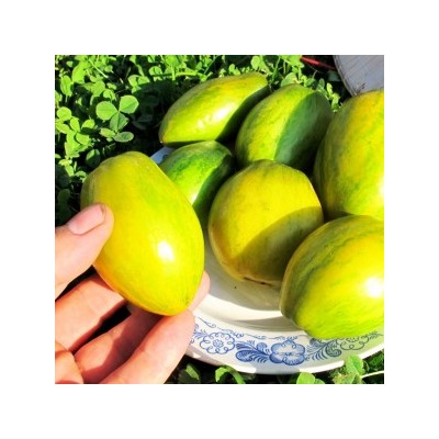 Помидоры Гном Дерзкая Машка — Tomato Dwarf Saucy Mary  (10 семян)