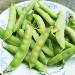 Карликовый Снежный Горошек Норли Мангетоут — Norli Mangetout Pea (10 семян)