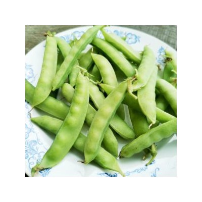 Карликовый Снежный Горошек Норли Мангетоут — Norli Mangetout Pea (10 семян)