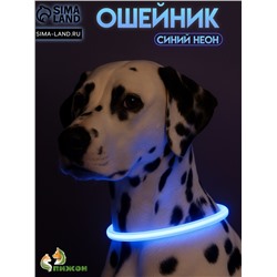 Ошейник - кольцо с подсветкой, зарядка от USB, до 70 см, 3 режима свечения, голубой