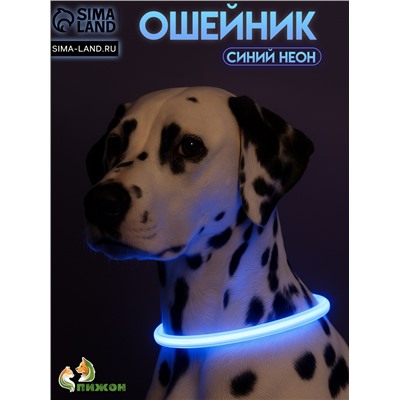 Ошейник - кольцо с подсветкой, зарядка от USB, до 70 см, 3 режима свечения, голубой