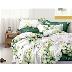 Постельное белье из поплина cтандарт ПВ24-1413