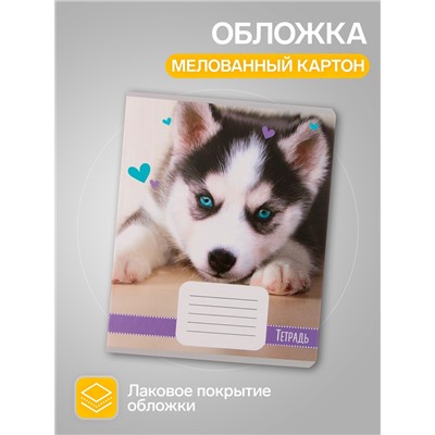 Комплект тетрадей из 10 штук, 18 листов в линию Calligrata "Домашние животные", обложка мелованный картон, ВД-лак, блок офсет, 5 видов по 2 штуки