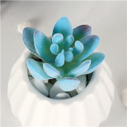 Суккулент искусственный 5х7 см / GN144 /уп 100/