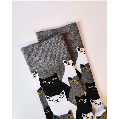Носки р.35-40 "Cute Animals" Котики и Кошечки