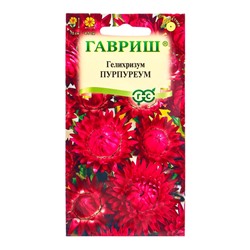 Семена цветов Гелихризум Пурпуреум* 0,1 г