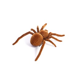 Жучок «Тарантул», работает от батареек