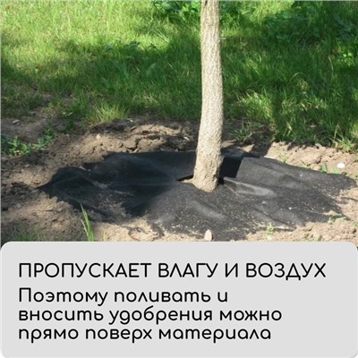Круг приствольный, d=0.6 м, плотность 60 г/м², спанбонд с УФ-стабилизатором, набор 5 шт., чёрный, Greengo, Эконом 20%