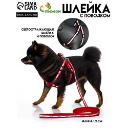 Комплект «Спорт» светоотражающий, поводок 120×1 см, ОГ 23-35 см, красный