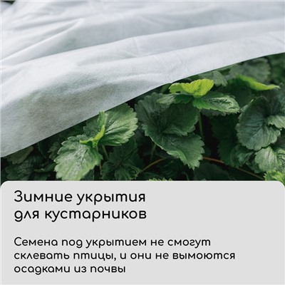 Материал укрывной, 10×3.2 м, плотность 60 г/м², спанбонд с УФ-стабилизатором, белый, Greengo, Эконом 30%