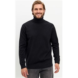 Водолазка F321-15318 black