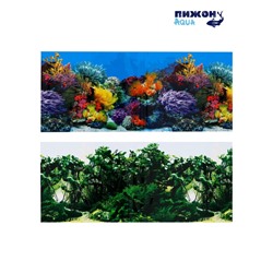Фон для аквариума двухсторонний, 50×115 см