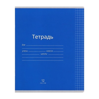 Комплект тетрадей из 10 штук, 12 листов в клетку Calligrata «Однотонная Классика яркая», обложка мелованная бумага, ВД-лак, блок офсет, 5 видов по 2 штуки