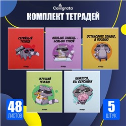 Комплект тетрадей из 5 штук, 48 листов в клетку Calligrata «Дерзкий енот», обложка мелованный картон, блок офсет