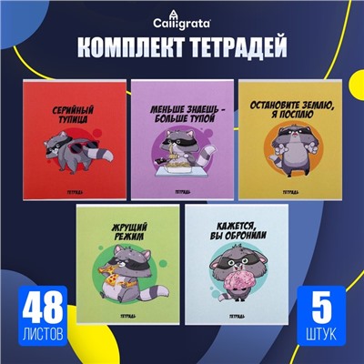 Комплект тетрадей из 5 штук, 48 листов в клетку Calligrata «Дерзкий енот», обложка мелованный картон, блок офсет