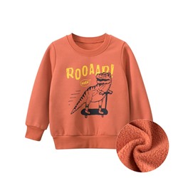 TSKIDS Толстовка утепленная   2973