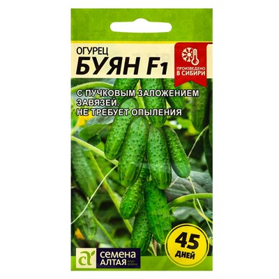 Семена огурца «Буян», 5 шт., «Семена Алтая»