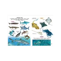 Лучшая энциклопедия для детей, 128 стр.