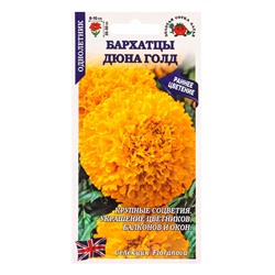 Семена Бархатцы «Дюна Голд», прямостоячие, 5 шт., «Золотая Сотка Алтая»
