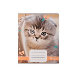 Комплект тетрадей из 10 штук, 18 листов в линию Calligrata "Домашние животные", обложка мелованный картон, ВД-лак, блок офсет, 5 видов по 2 штуки