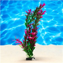 Растение искусственное