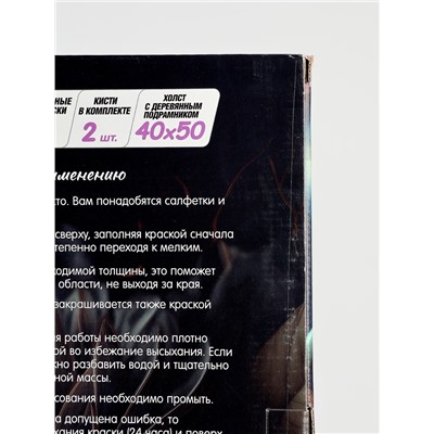 УЦЕНКА Картина по номерам со светящейся краской 40×50 «Карпы кои», 14 цветов
