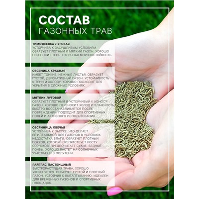 Газонная травосмесь «Гном», 5 кг