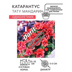 Семена цветов Катарантус "Тату Мандарин", 7 шт