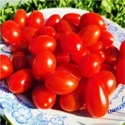 Помидоры Черри Сумасшедшие Красные Ягоды — Red Berries Crazy Cherry Tomato (10 семян)
