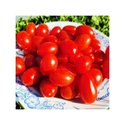 Помидоры Черри Сумасшедшие Красные Ягоды — Red Berries Crazy Cherry Tomato (10 семян)