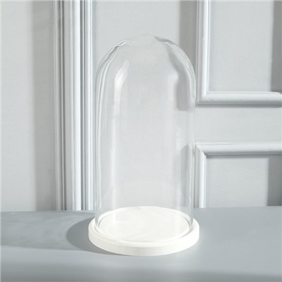 УЦЕНКА Стеклянный купол - клош на деревянной подставке «Венсан», 30×15 см, белый