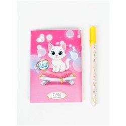 Подарочный набор, блокнот раскраска А6, 32 л., ручка пиши-стирай «Принцесса»