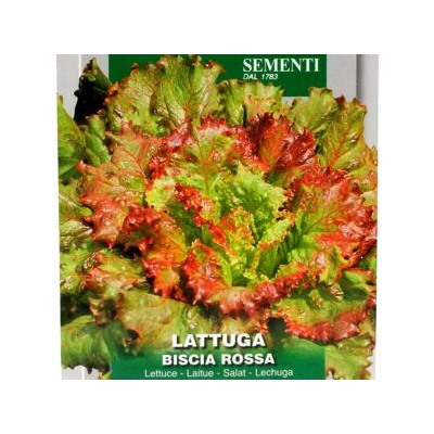 Салат Красная Кобра — A Foglia Riccia Da Taglio (Biscia Rossa) (50 семян)