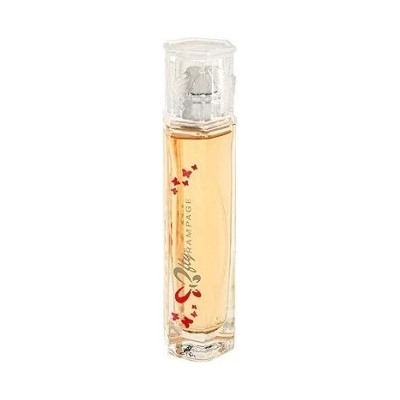 RAMPAGE FLY BY edp (w) 50ml TESTER