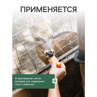 Сетка сварная с ПВХ покрытием, 10×0.5 м, ячейка 50×50 мм, d=1 мм, металл, Greengo