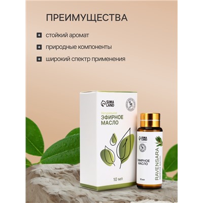 Эфирное масло «Равенсара», 10 мл, с пипеткой