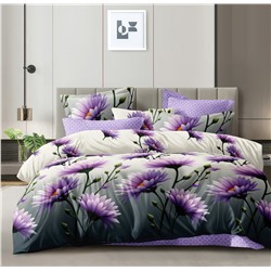 Постельное белье из поплина cтандарт ПВ26-1421