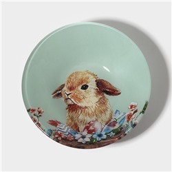 Тарелки Доляна «Кролик», 19 предметов: 6 десертных тарелок, 6 обеденных тарелок, 6 мисок, салатник, стекло, голубые