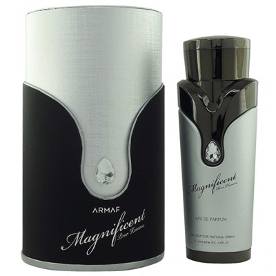 ARMAF MAGNIFICENT edp (m) 100ml