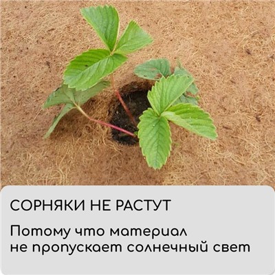 Кокосовое полотно для мульчирования, 3×0.5 м, «Мульчаграм»