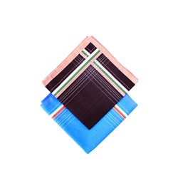 Носовые платки (40*40 см, 10 шт.) 215