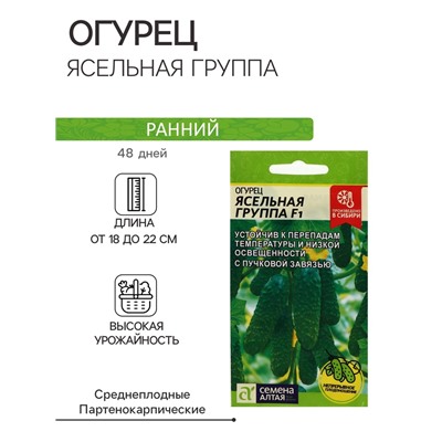 Семена Огурец "Ясельная Группа",  F1, 5 шт